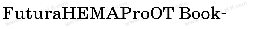 FuturaHEMAProOT Book字体转换